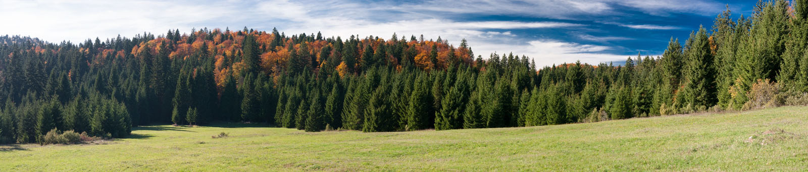 CORKOVA UVALA4 PANORAMA